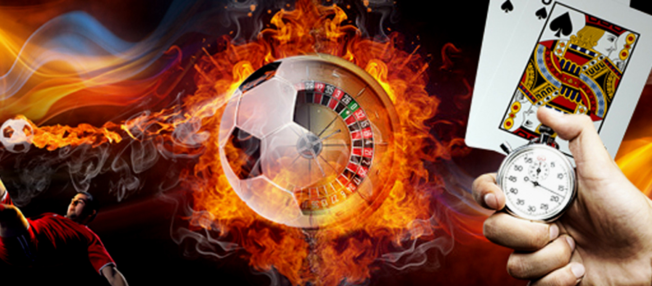 Play the best games and discover endless entertainment 14